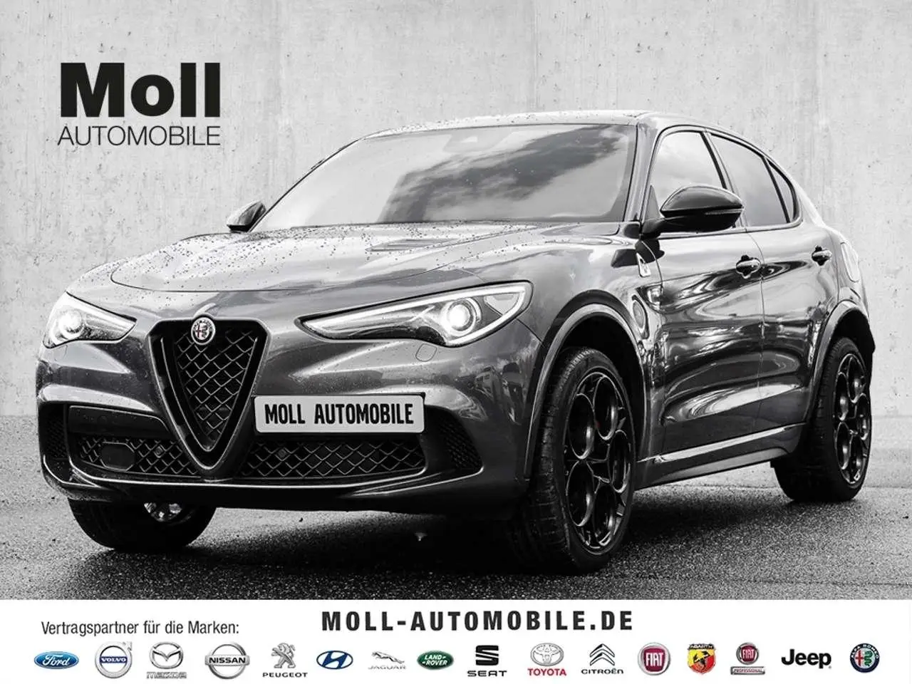 Photo 1 : Alfa Romeo Stelvio 2021 Petrol