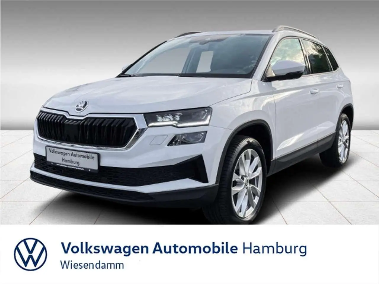 Photo 1 : Skoda Karoq 2023 Diesel