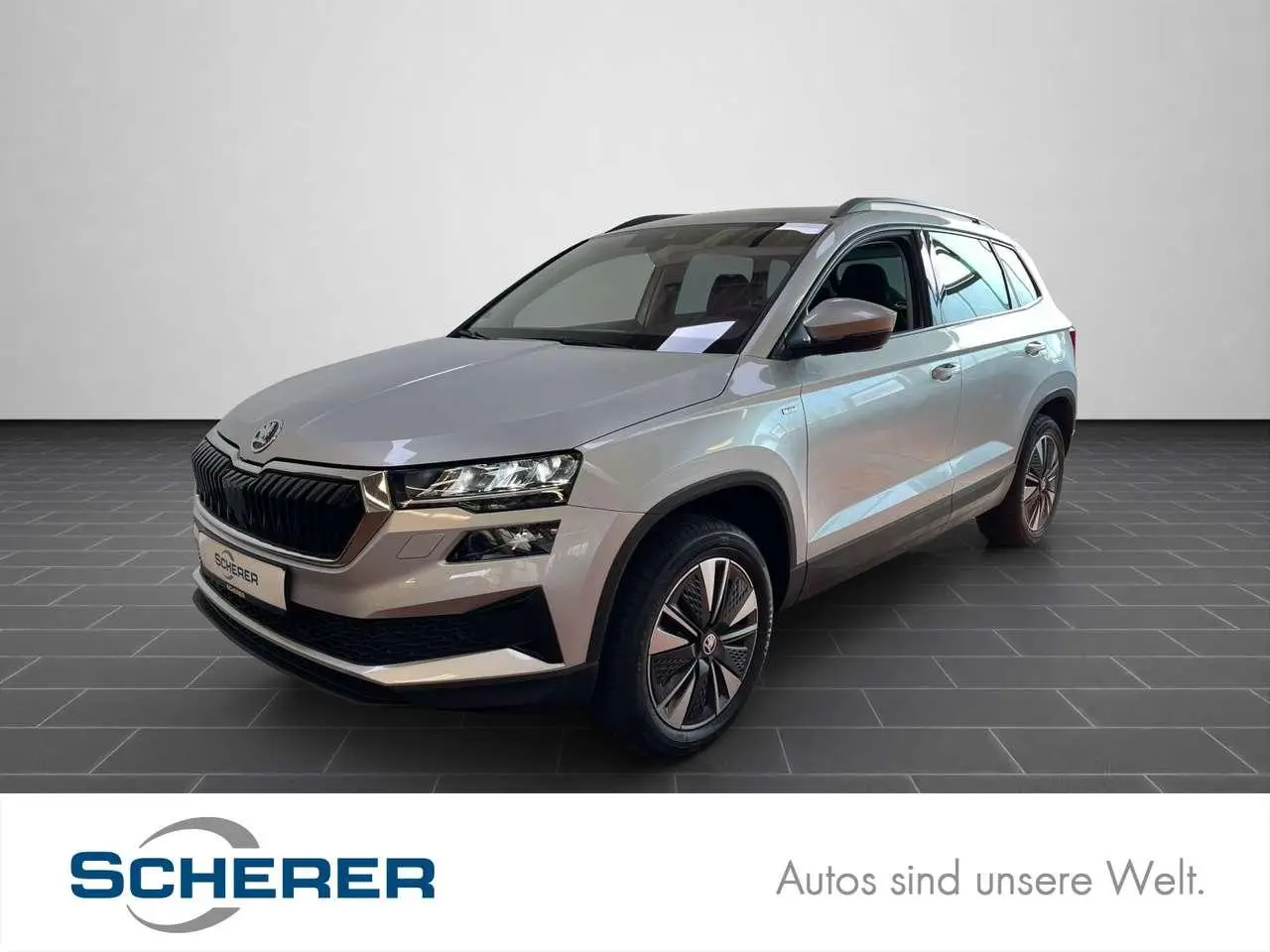 Photo 1 : Skoda Karoq 2024 Petrol