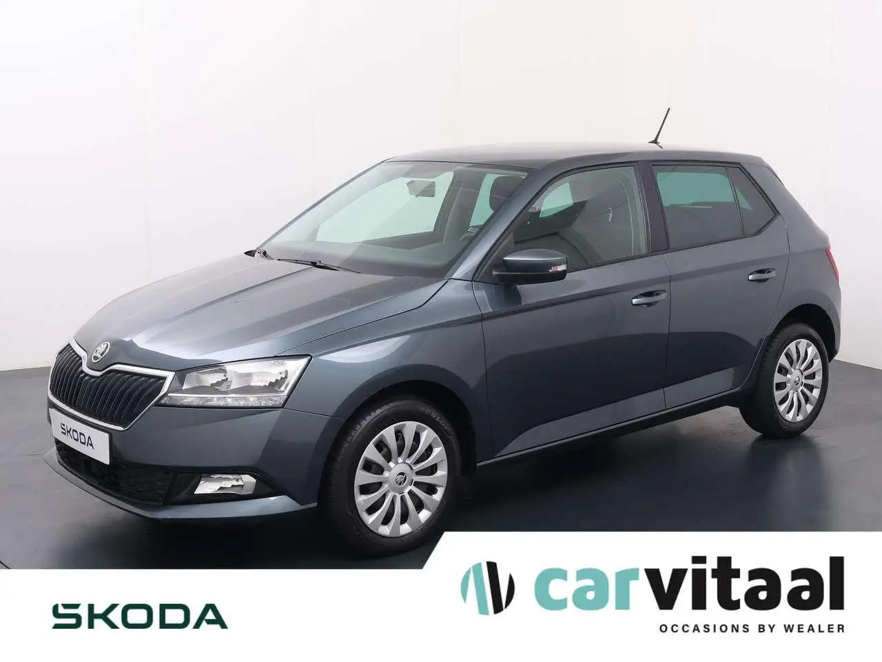 Photo 1 : Skoda Fabia 2020 Petrol