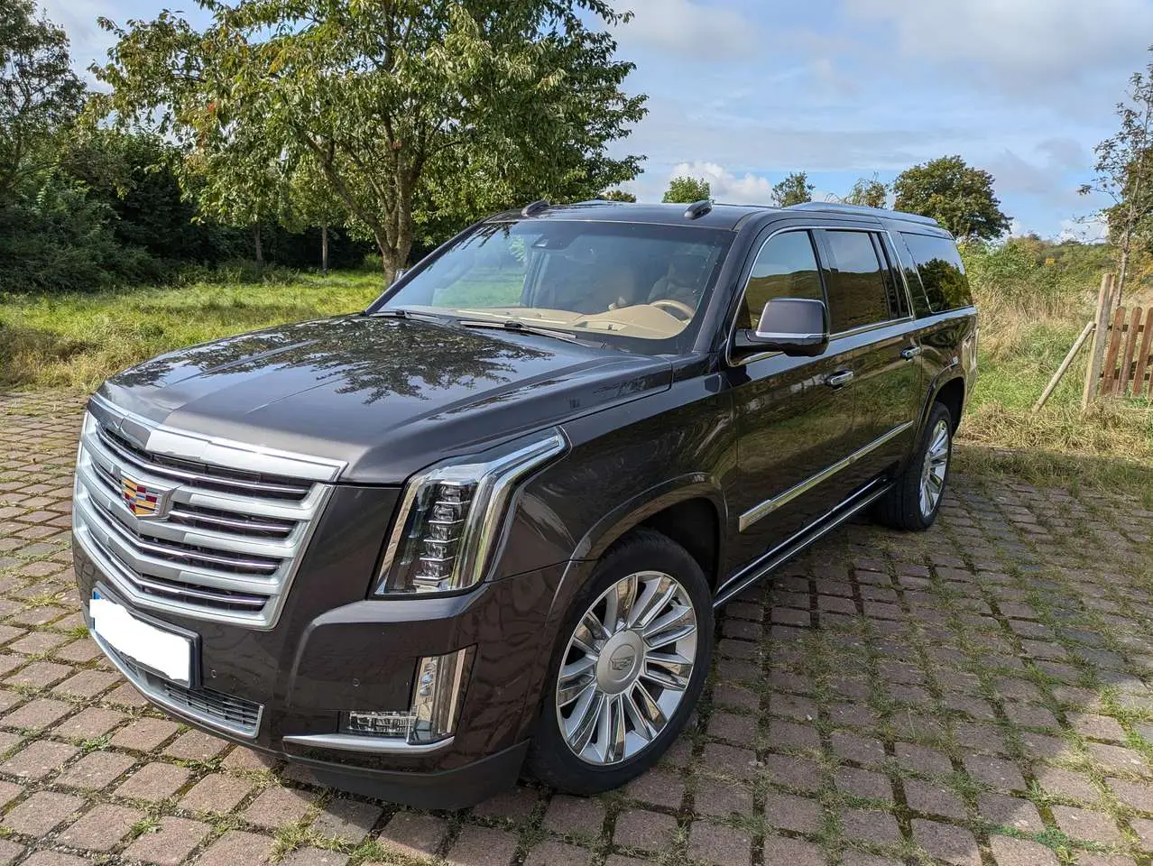 Photo 1 : Cadillac Escalade 2017 Petrol