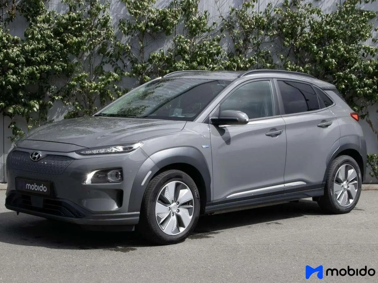 Photo 1 : Hyundai Kona 2019 Électrique