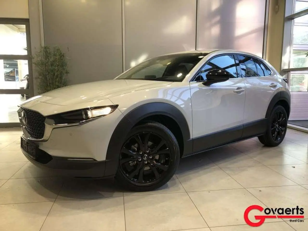 Photo 1 : Mazda Cx-30 2024 Petrol