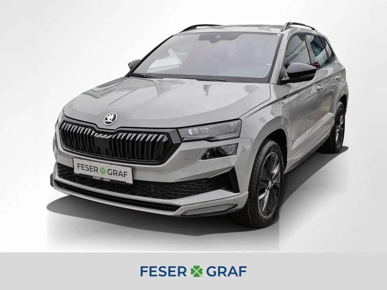 Photo 1 : Skoda Karoq 2024 Diesel