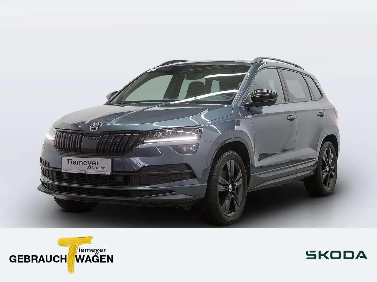 Photo 1 : Skoda Karoq 2019 Diesel