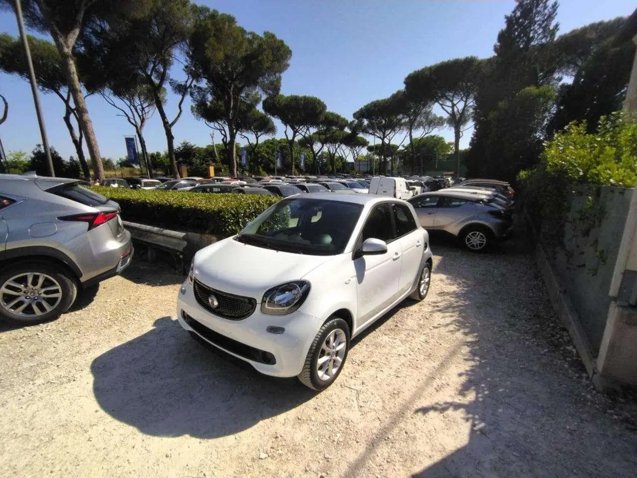 Photo 1 : Smart Forfour 2017 Petrol