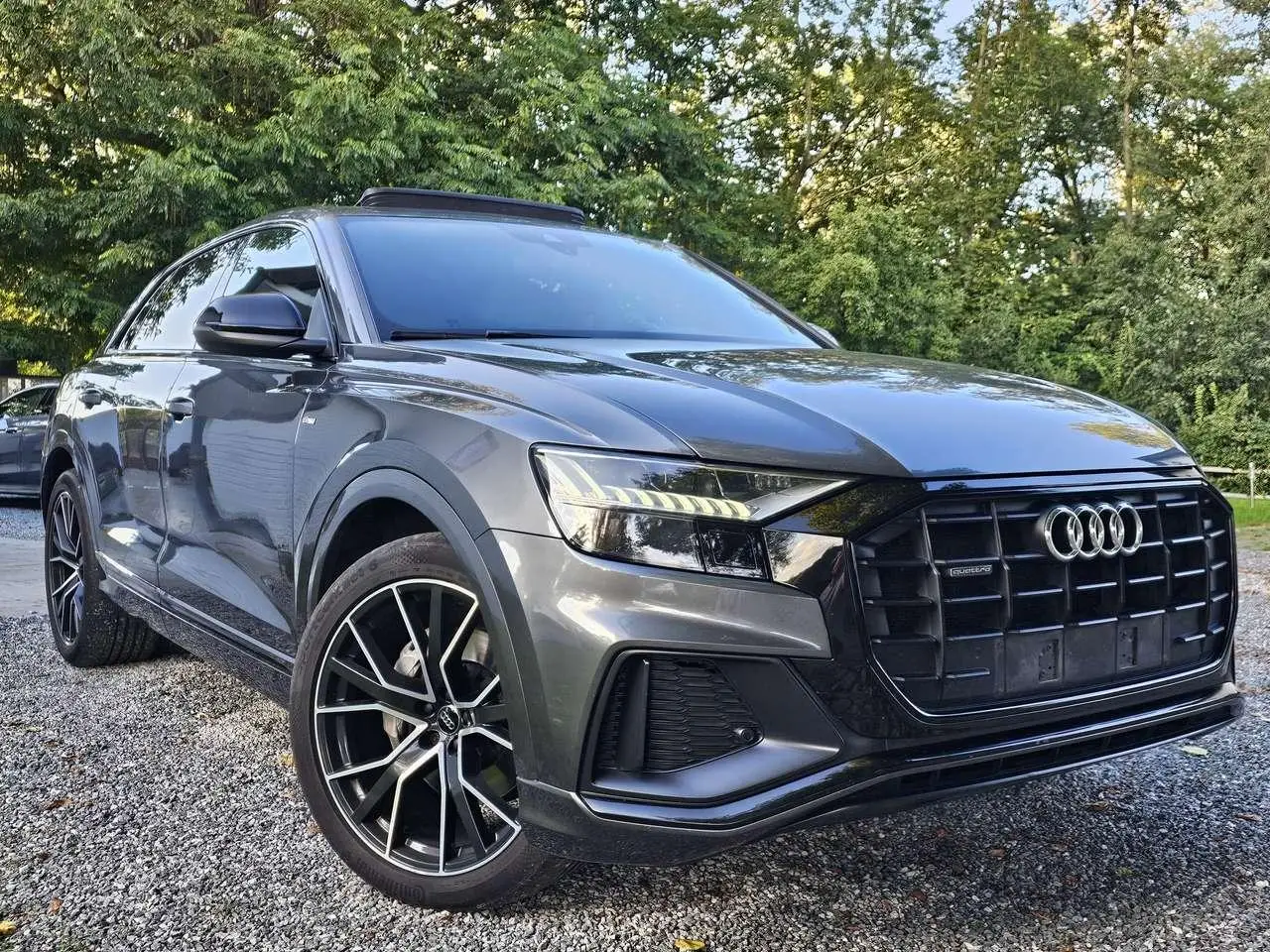 Photo 1 : Audi Q8 2019 Hybride