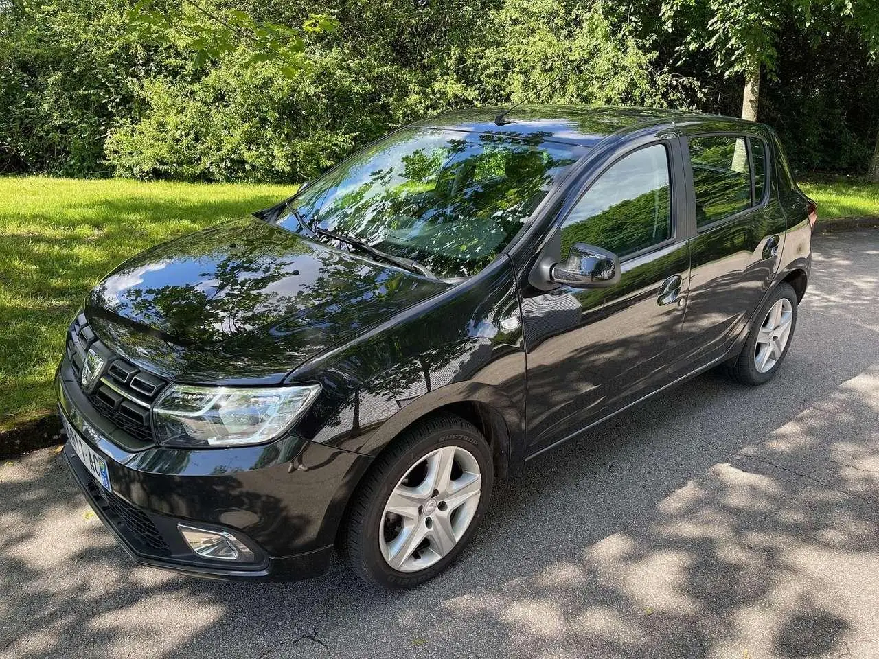 Photo 1 : Dacia Sandero 2019 Petrol