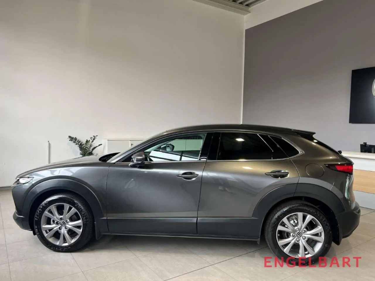 Photo 1 : Mazda Cx-30 2022 Petrol