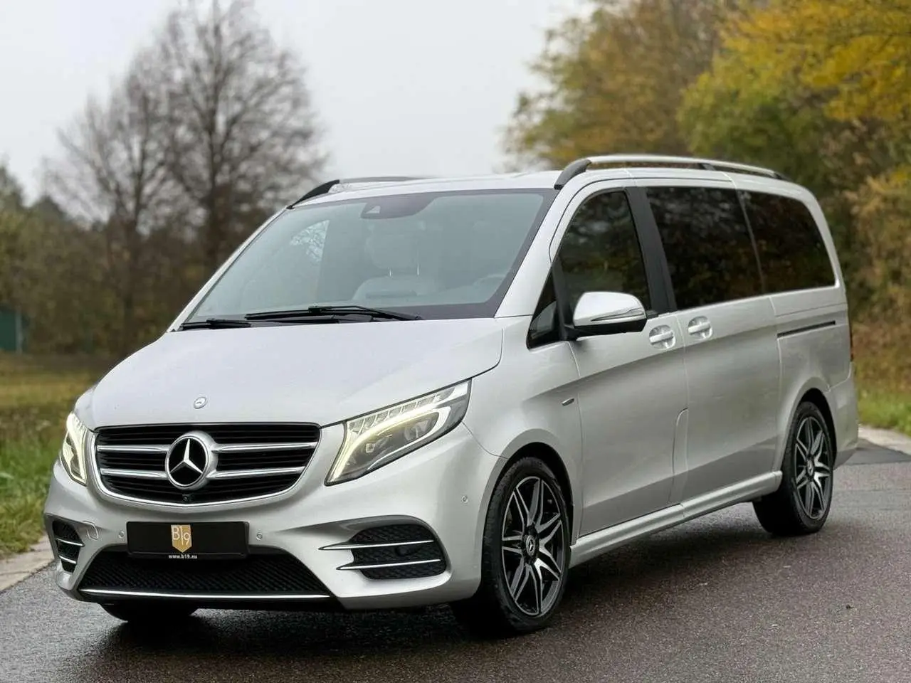 Photo 1 : Mercedes-benz Classe V 2016 Diesel