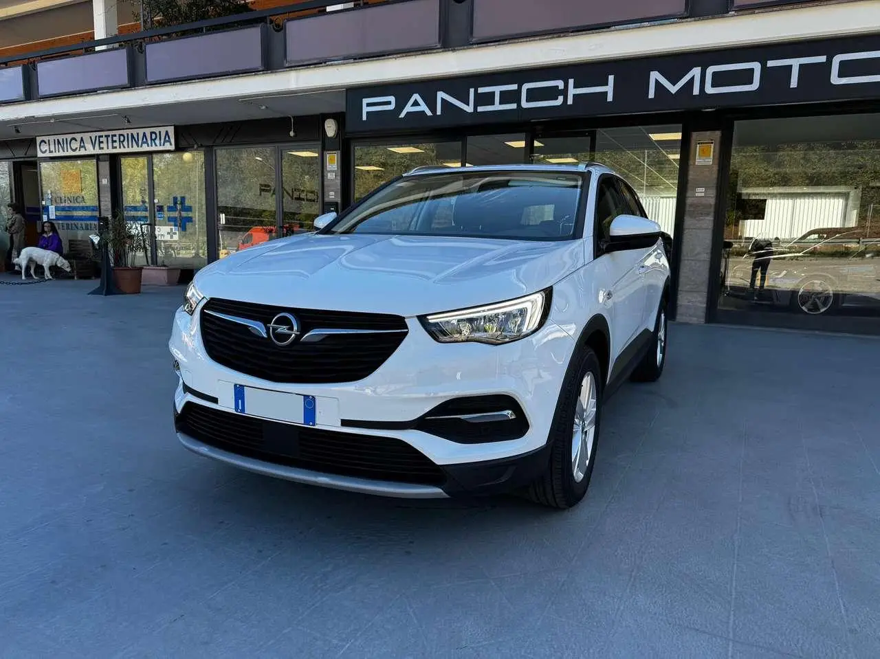 Photo 1 : Opel Grandland 2021 Diesel