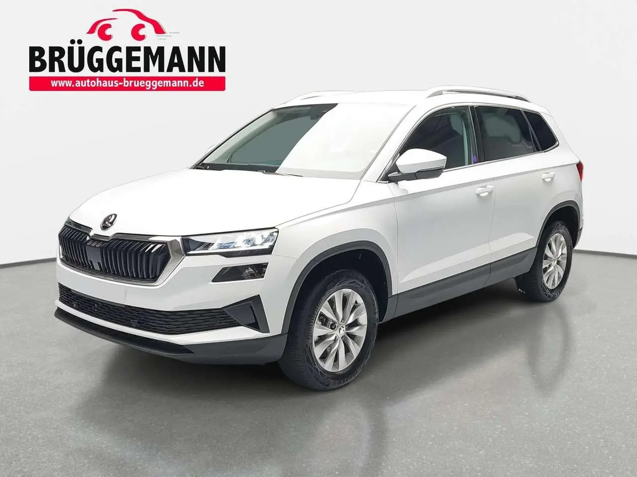 Photo 1 : Skoda Karoq 2024 Petrol