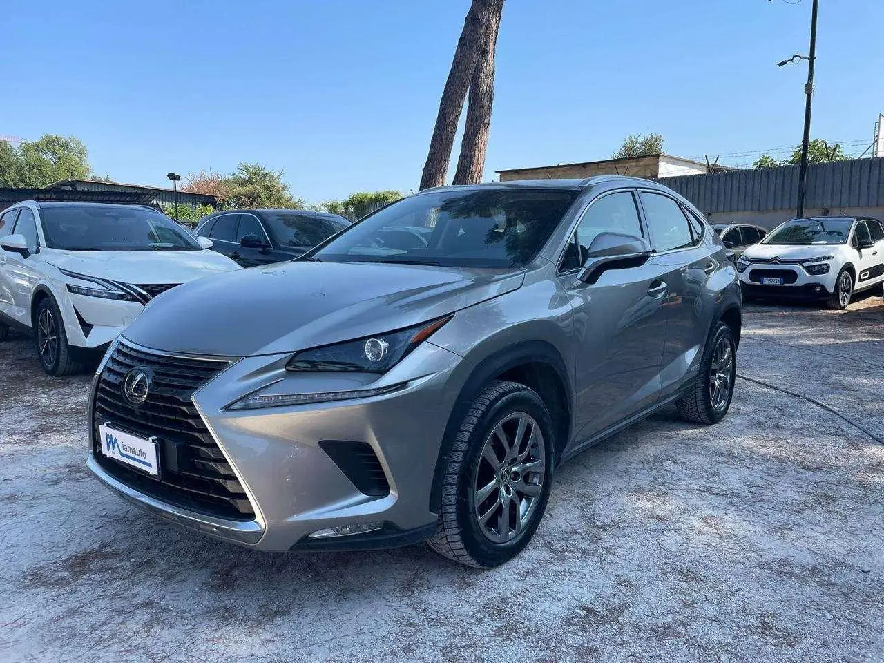 Photo 1 : Lexus Nx 2020 Hybride