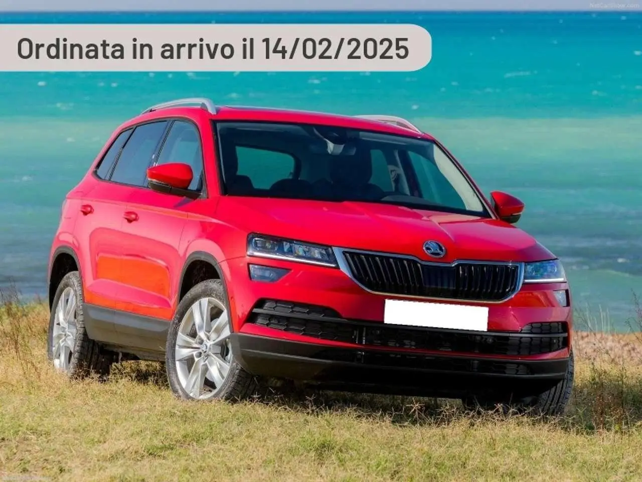 Photo 1 : Skoda Karoq 2024 Diesel