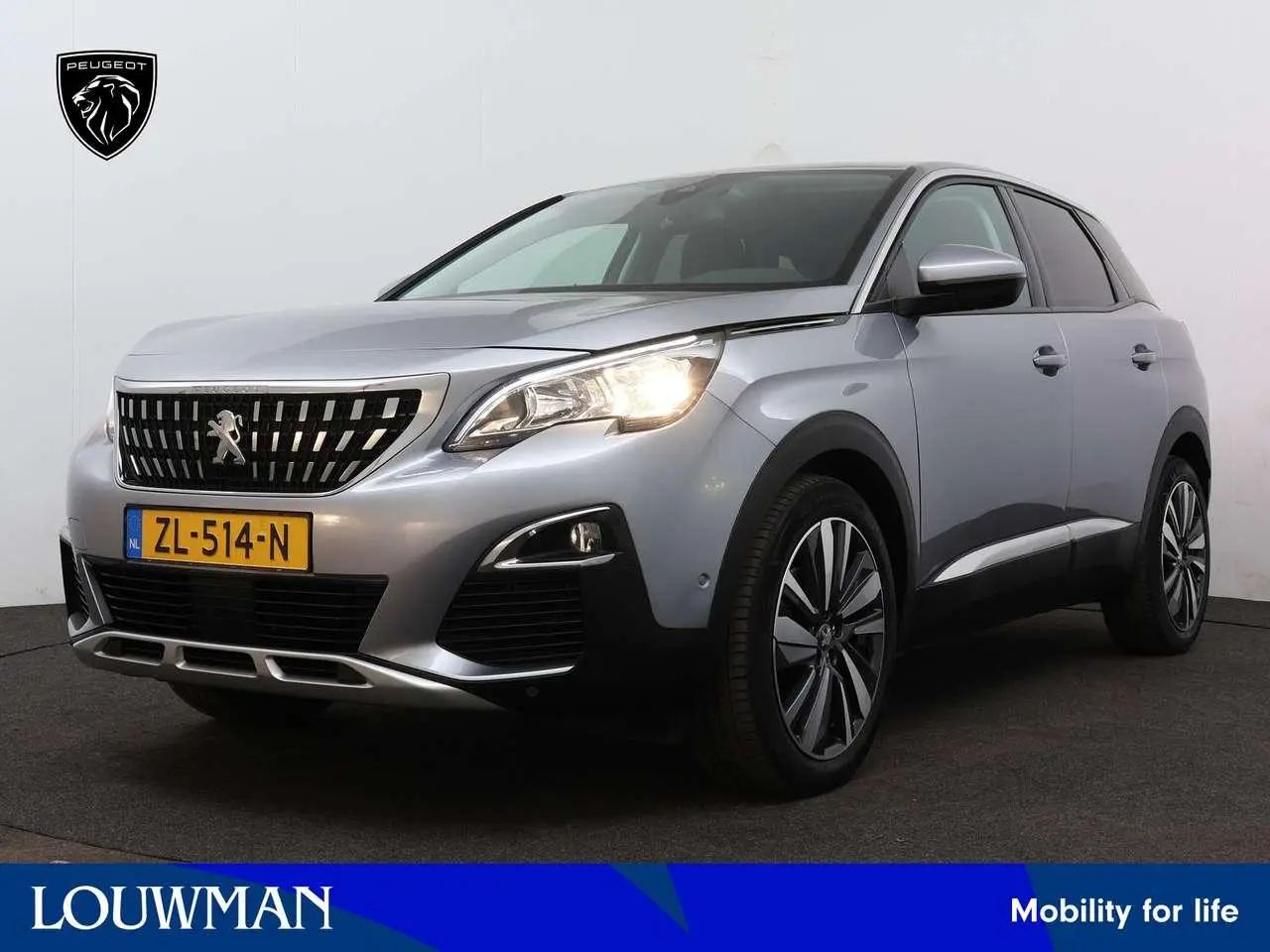 Photo 1 : Peugeot 3008 2019 Petrol