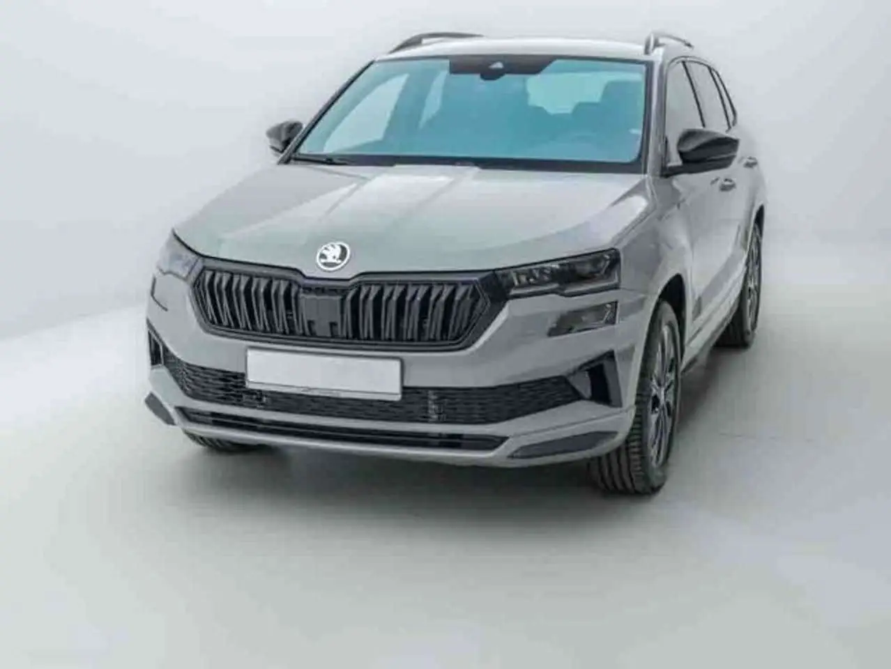 Photo 1 : Skoda Karoq 2024 Petrol