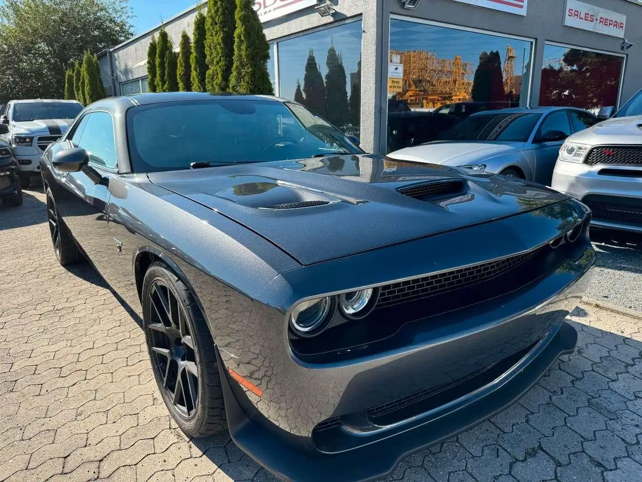 Photo 1 : Dodge Challenger 2019 Petrol