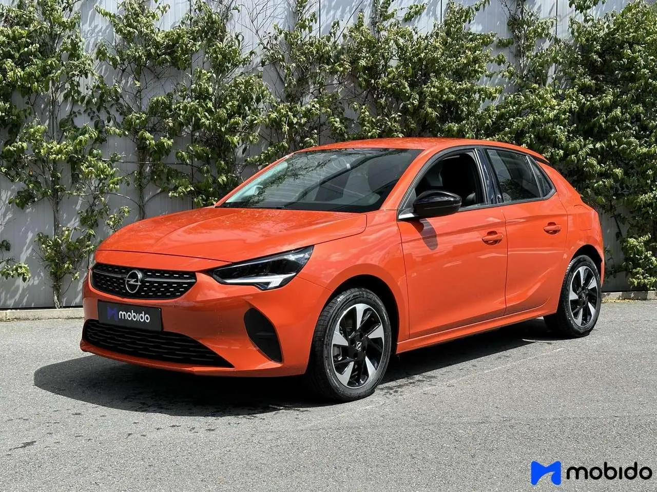 Photo 1 : Opel Corsa 2023 Électrique