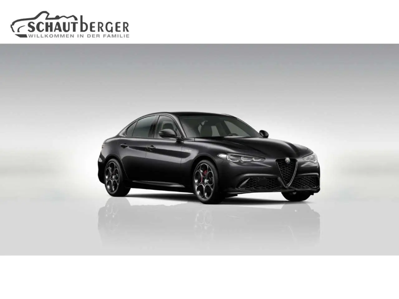 Photo 1 : Alfa Romeo Giulia 2024 Petrol