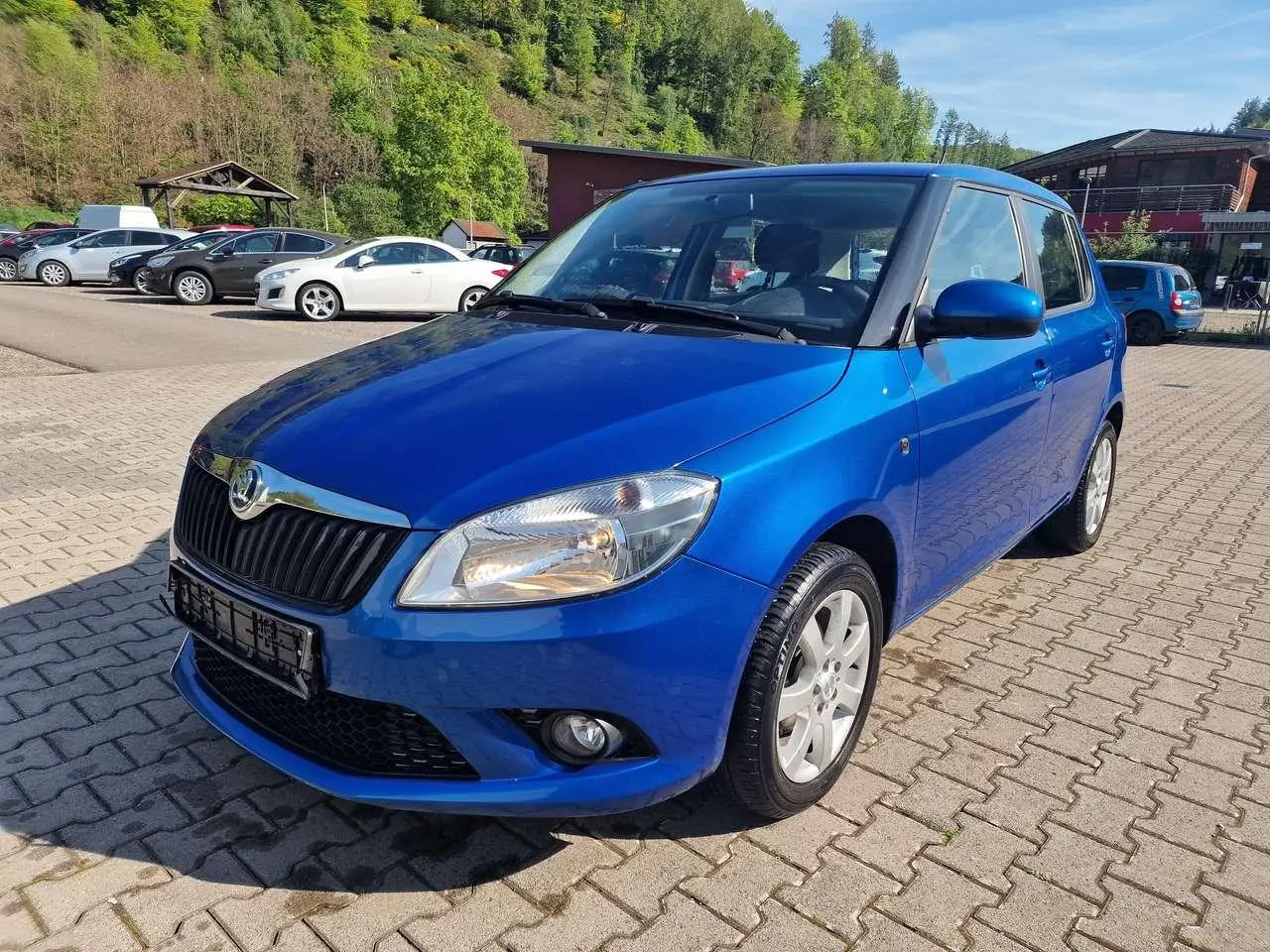 Photo 1 : Skoda Fabia 2015 Petrol