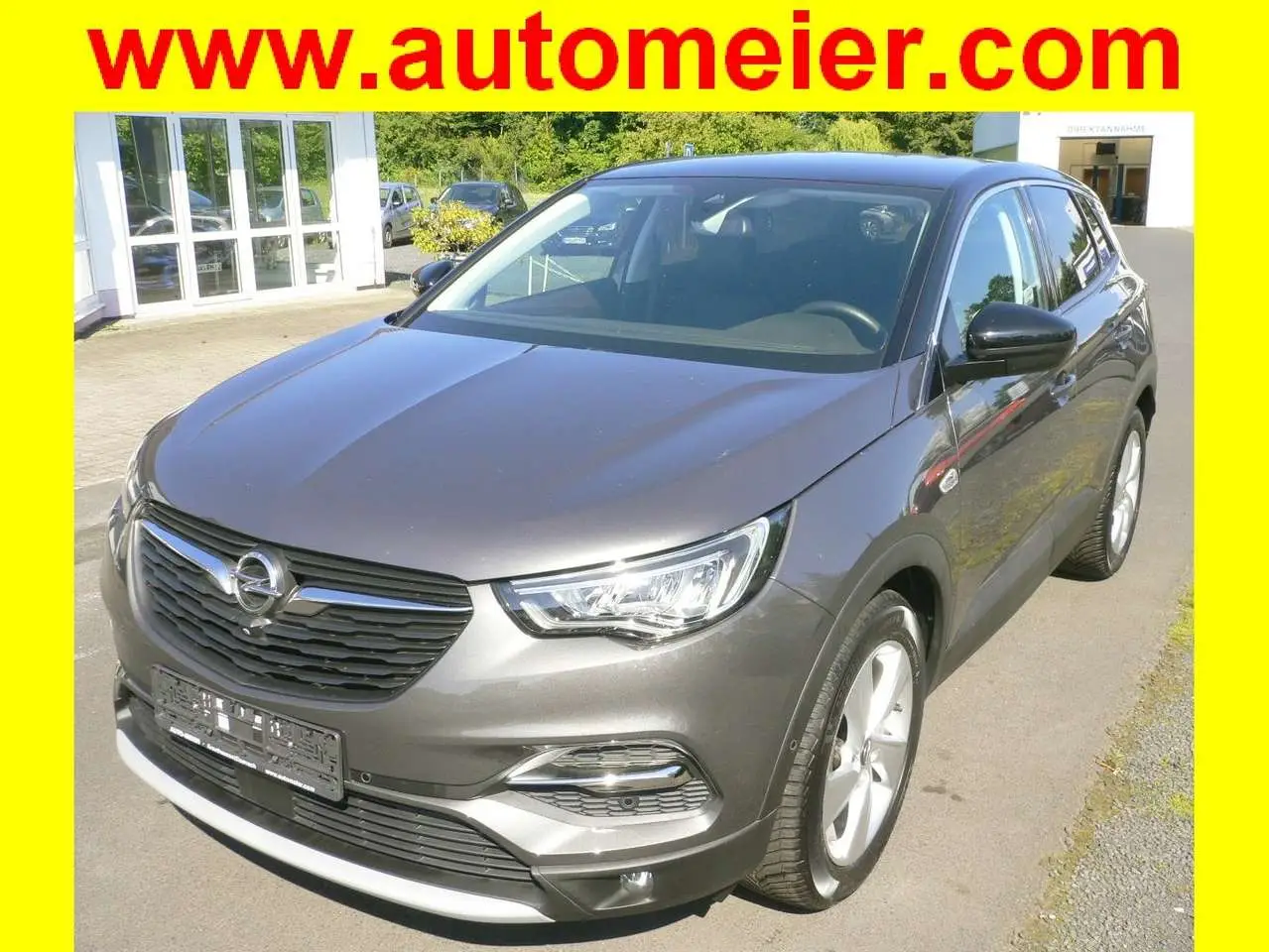 Photo 1 : Opel Grandland 2020 Petrol