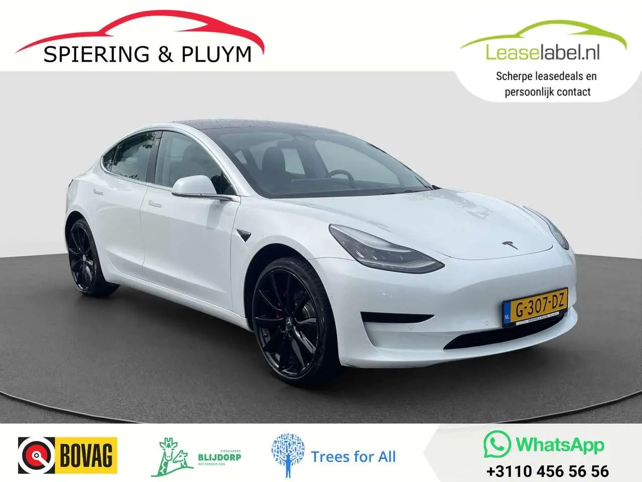 Photo 1 : Tesla Model 3 2019 Électrique