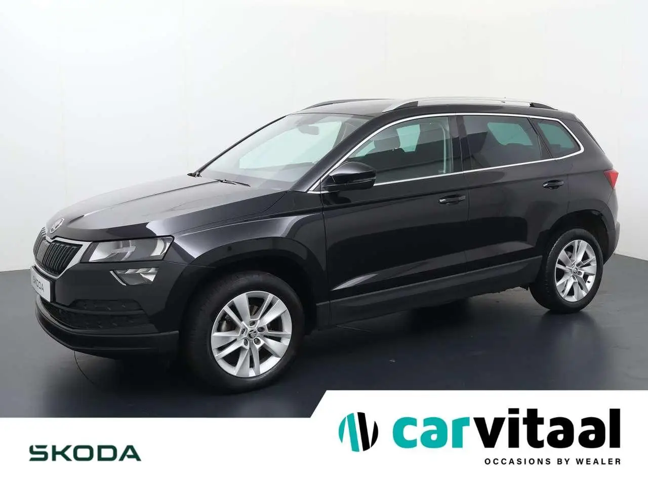 Photo 1 : Skoda Karoq 2019 Petrol