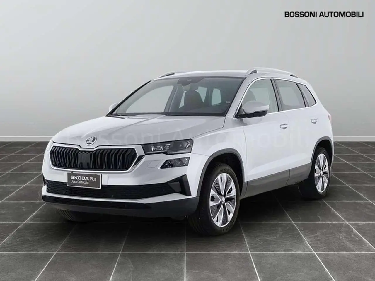 Photo 1 : Skoda Karoq 2023 Diesel