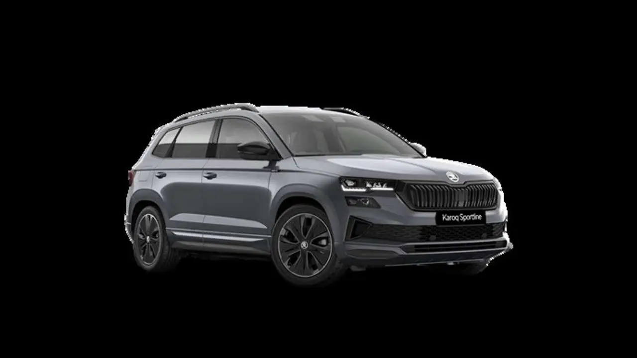 Photo 1 : Skoda Karoq 2024 Petrol