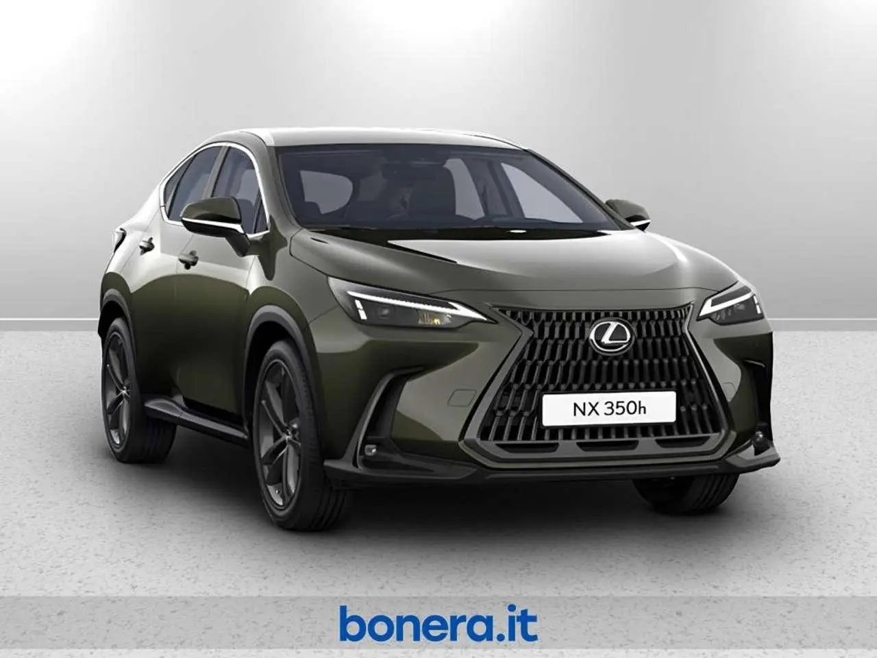 Photo 1 : Lexus Nx 2024 Hybrid