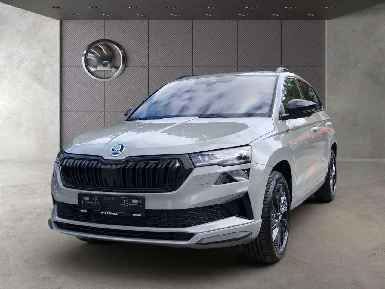 Photo 1 : Skoda Karoq 2024 Diesel