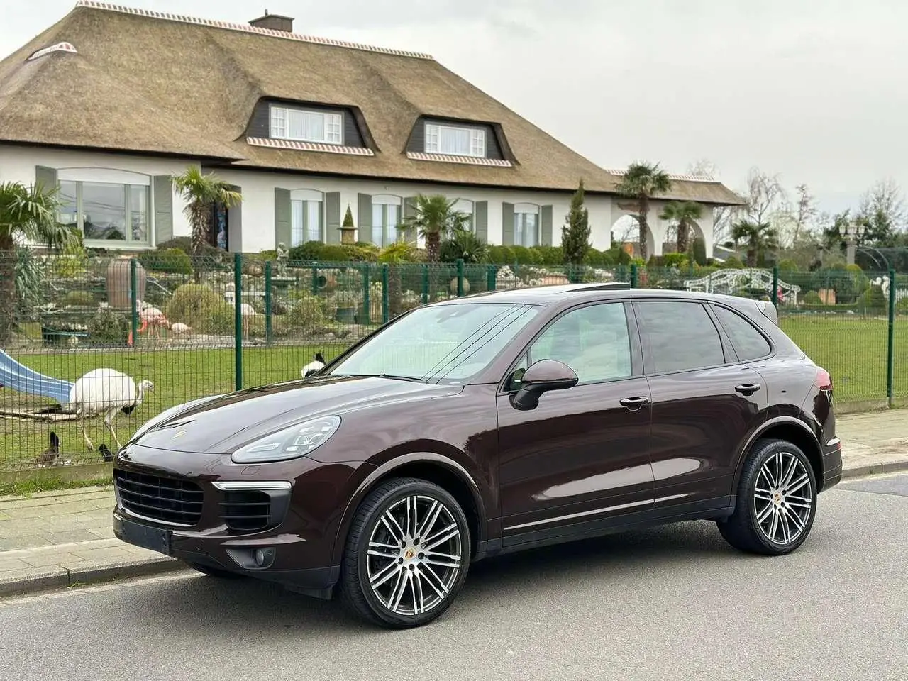 Photo 1 : Porsche Cayenne 2018 Diesel