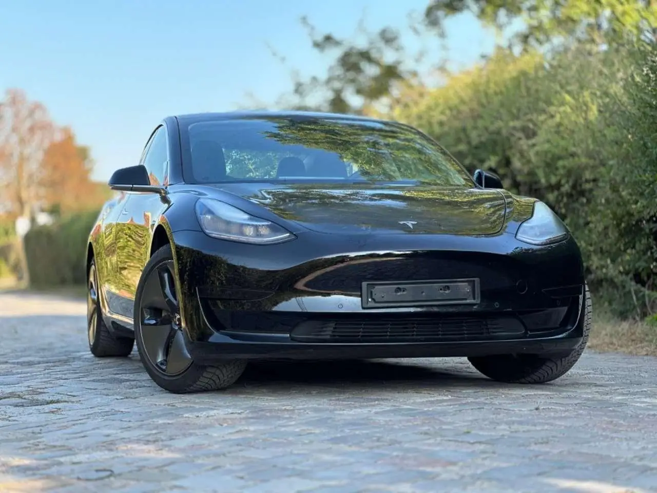 Photo 1 : Tesla Model 3 2020 Electric