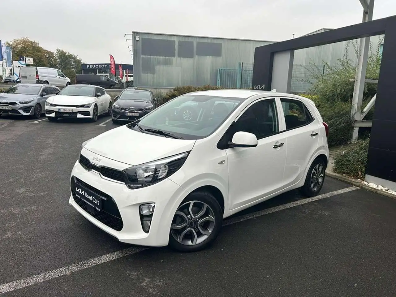 Photo 1 : Kia Picanto 2022 Essence