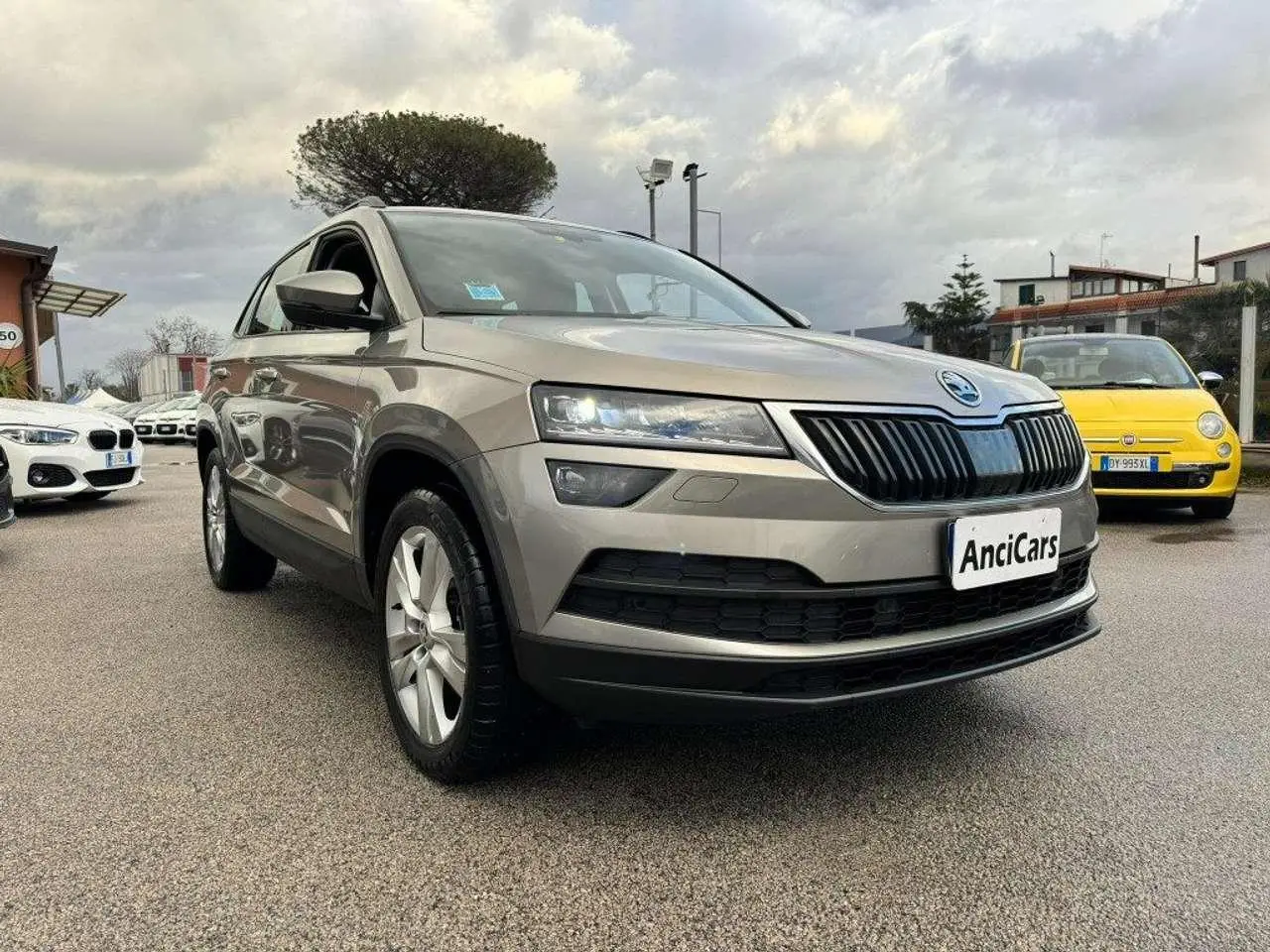 Photo 1 : Skoda Karoq 2019 Diesel