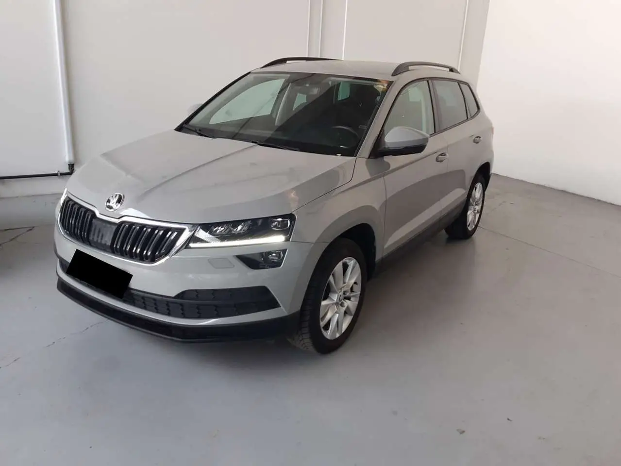 Photo 1 : Skoda Karoq 2019 Diesel