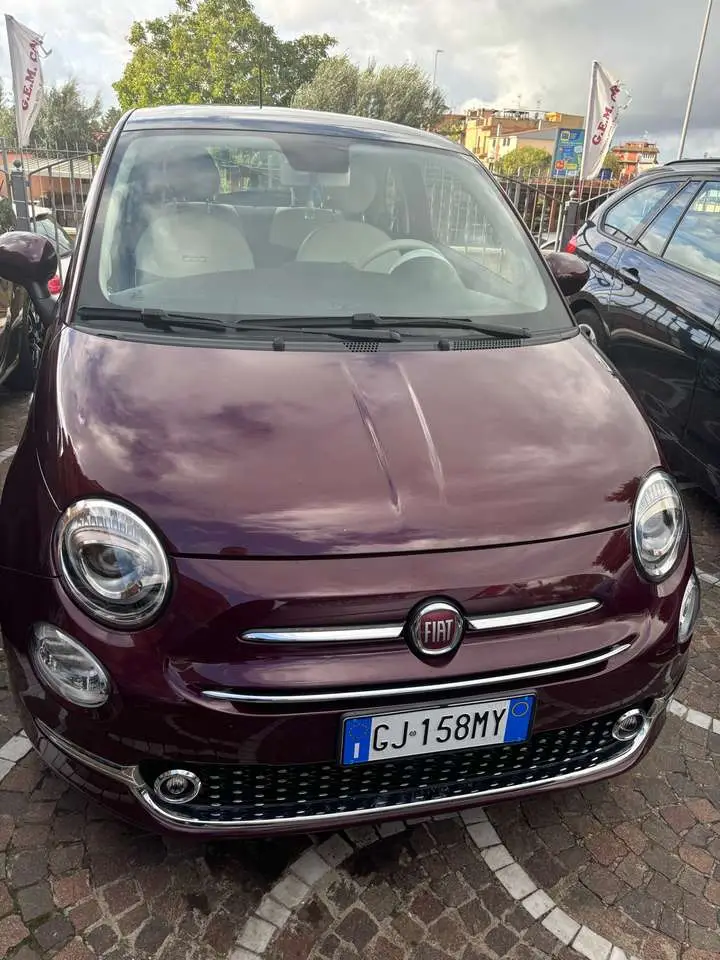 Photo 1 : Fiat 500 2021 GPL