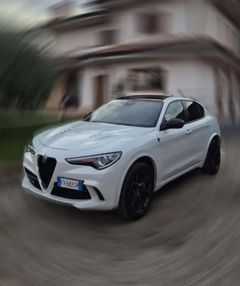 Photo 1 : Alfa Romeo Stelvio 2019 Essence