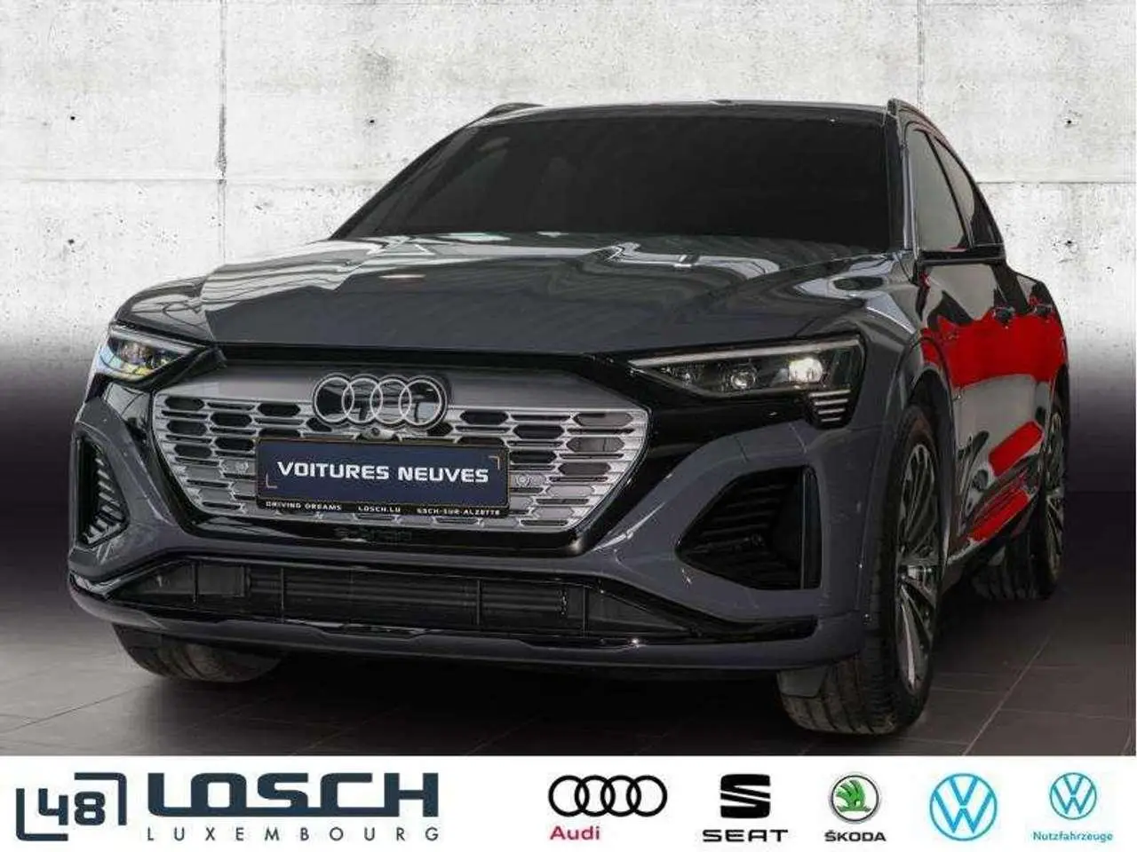 Photo 1 : Audi Q8 2023 Électrique