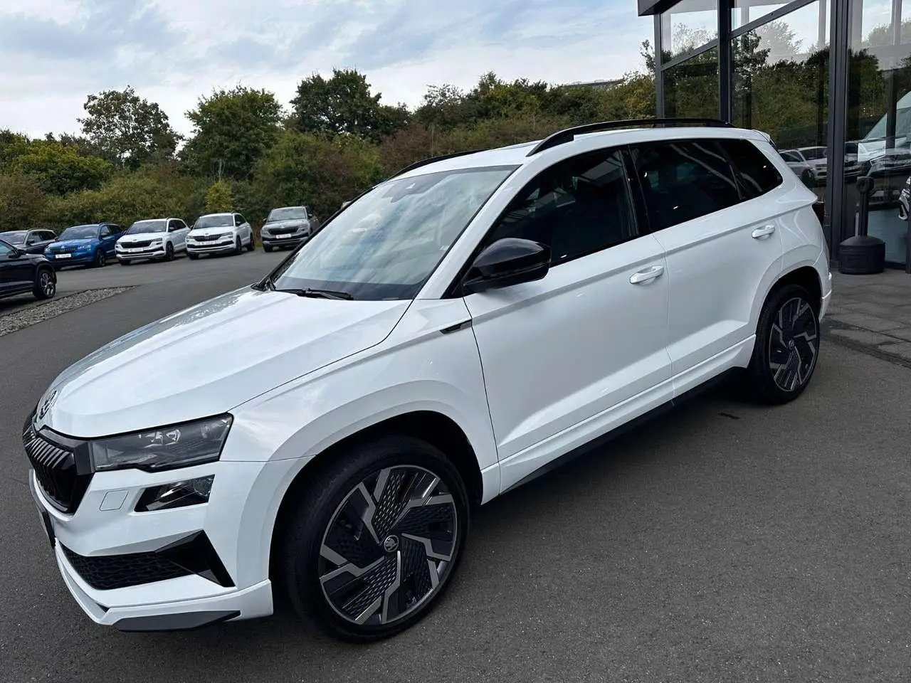 Photo 1 : Skoda Karoq 2023 Diesel