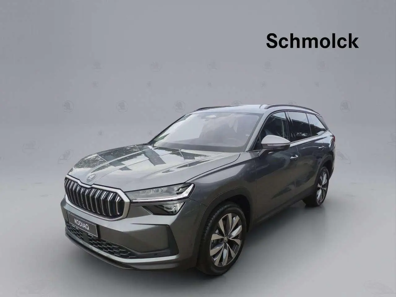 Photo 1 : Skoda Kodiaq 2024 Diesel