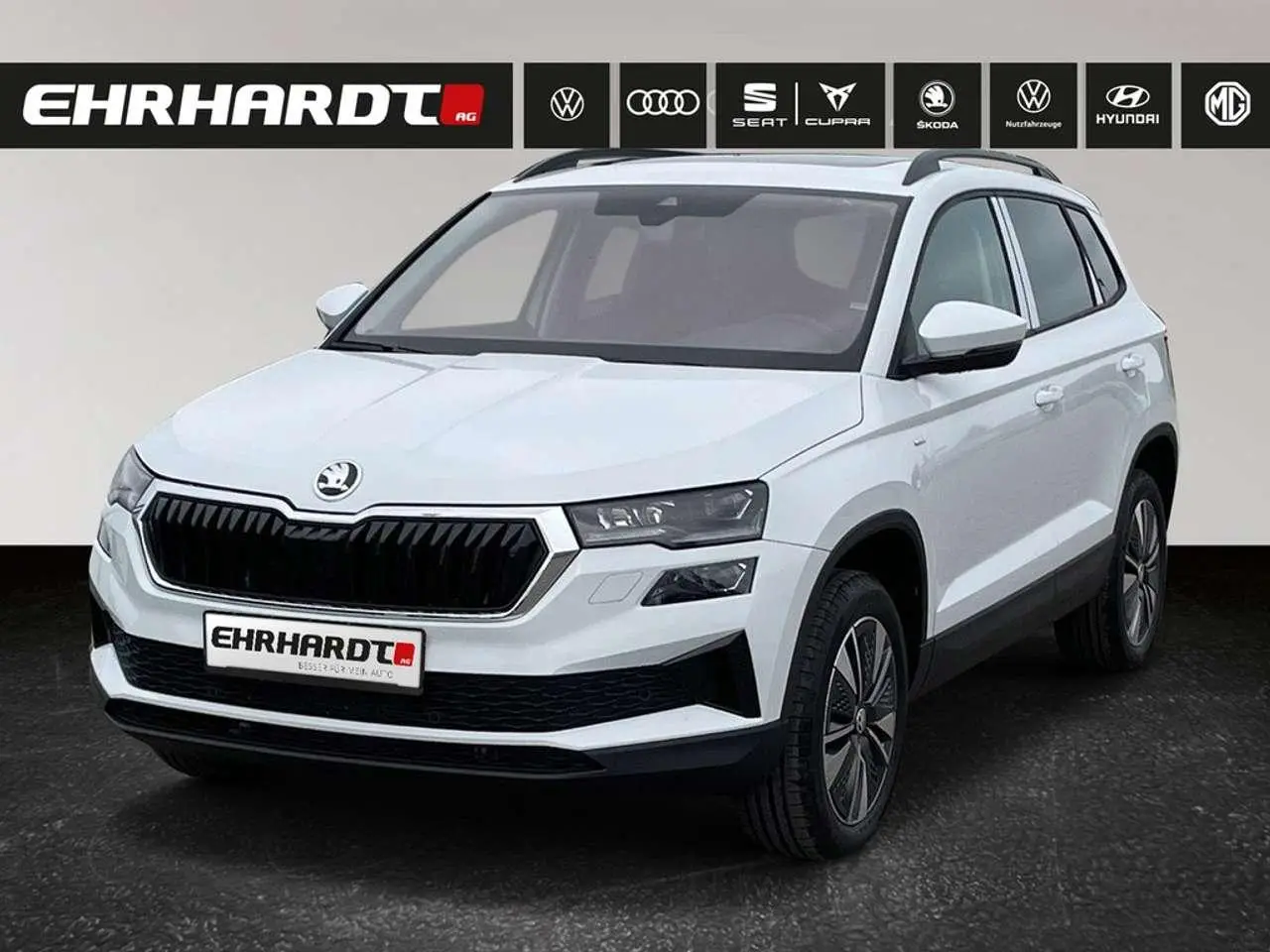 Photo 1 : Skoda Karoq 2023 Diesel