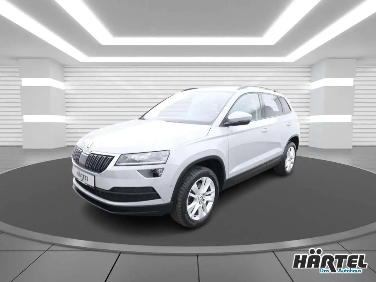 Photo 1 : Skoda Karoq 2020 Diesel