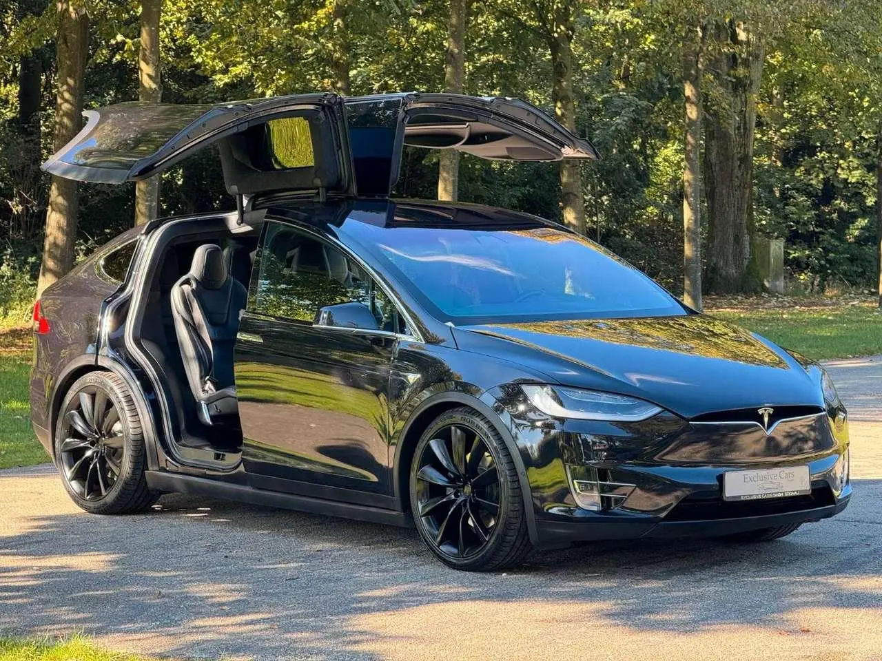 Photo 1 : Tesla Model X 2017 Electric