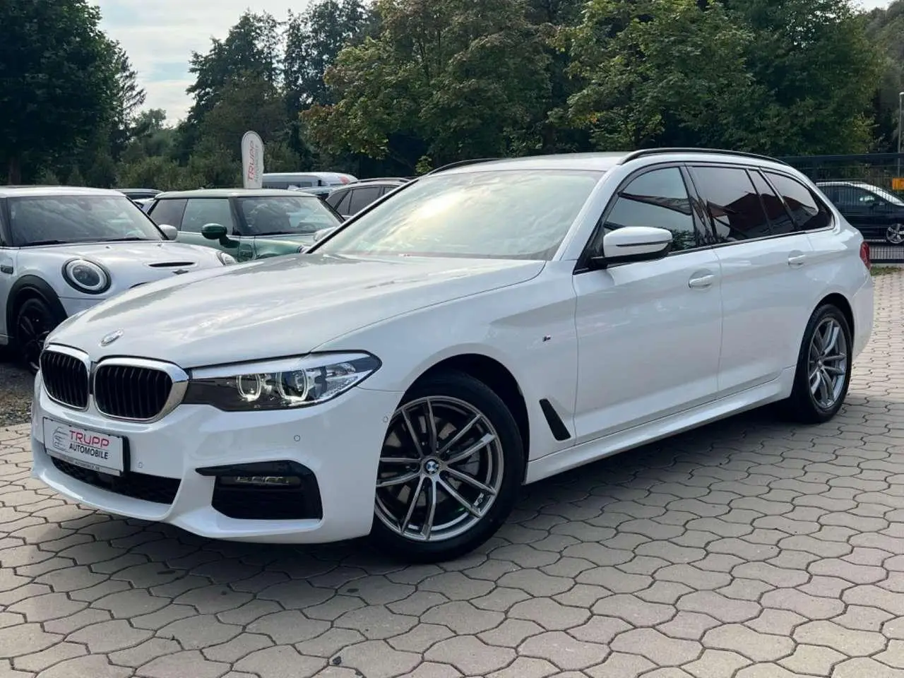 Photo 1 : Bmw Serie 5 2019 Diesel