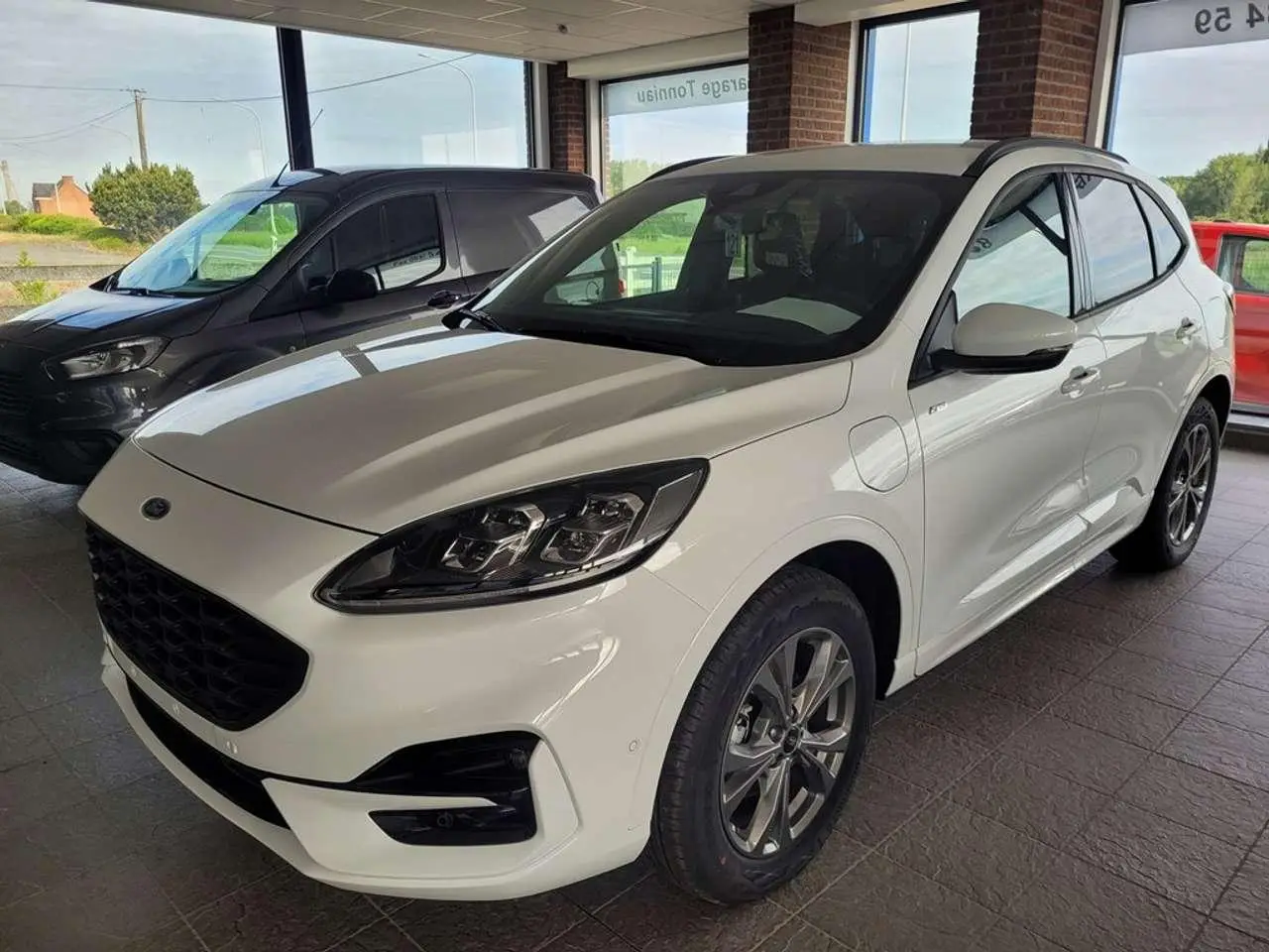 Photo 1 : Ford Kuga 2024 Hybride