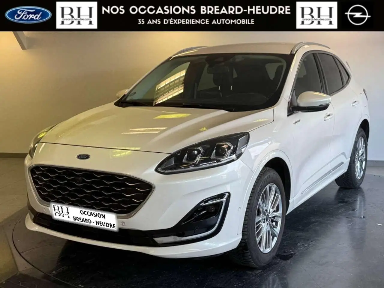 Photo 1 : Ford Kuga 2022 Autres