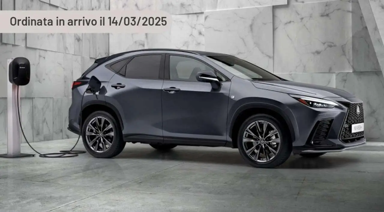 Photo 1 : Lexus Nx 2024 Hybrid