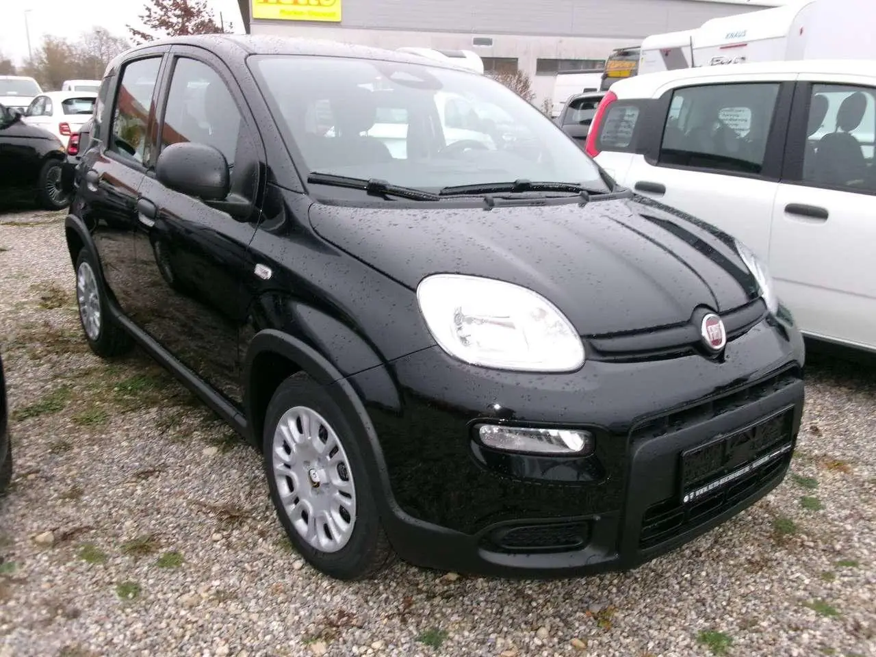 Photo 1 : Fiat Panda 2024 Essence