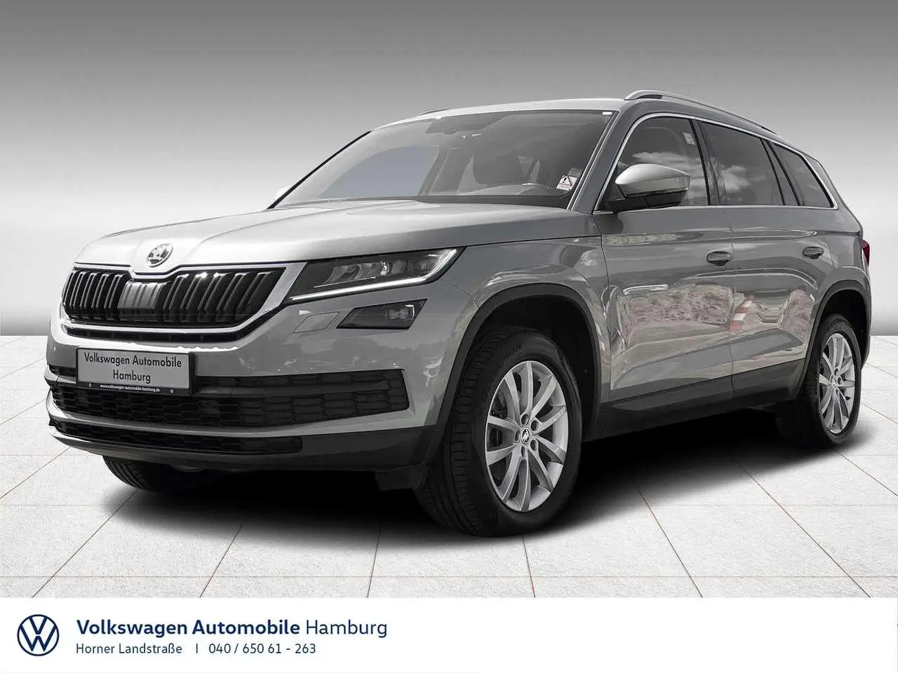 Photo 1 : Skoda Kodiaq 2020 Petrol